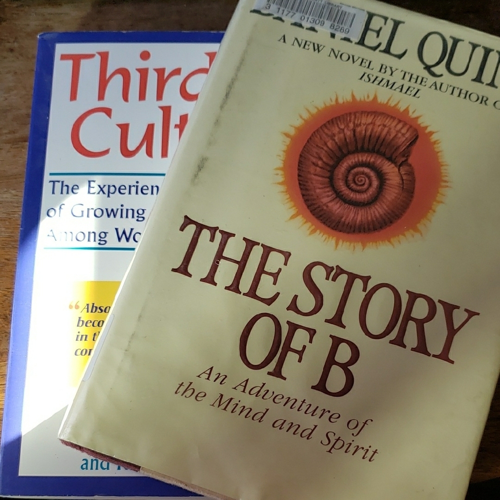 Two Books, a Novel By Daniel Quinn and a Nonfiction Piece on Culture & Kids